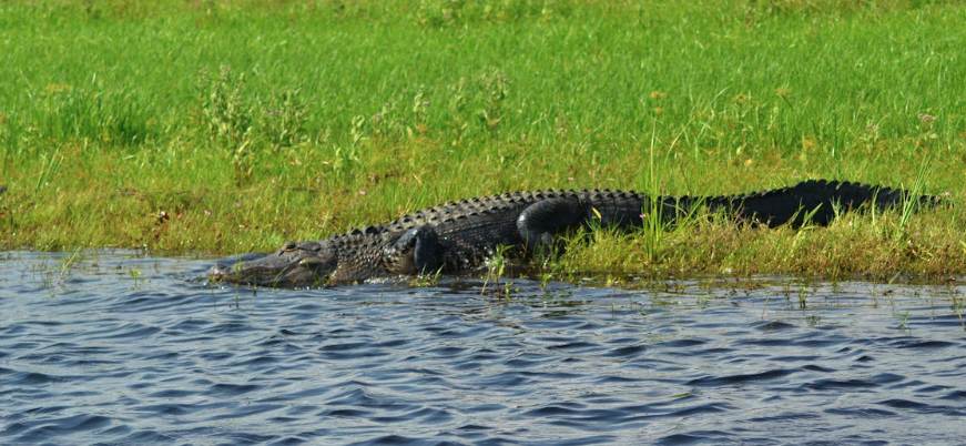 Everglades National Park, Florida — The Everglades — Florida's Other World