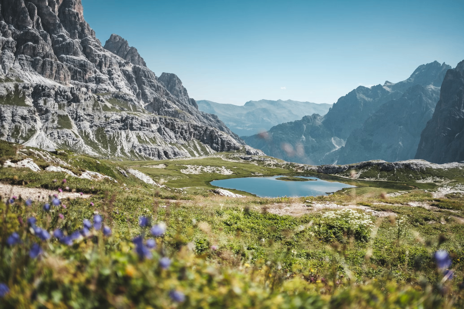 Dolomites alpine lake with wildflowers